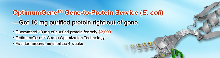 Gene-to-Protein