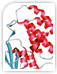 Structural Biology Services