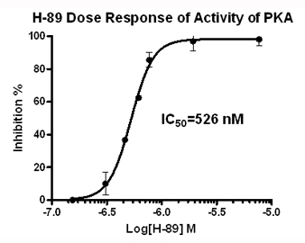 PKA assay