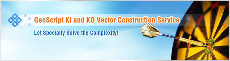 Vector Construction Vector Construction