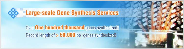 large-scale gene synthesis