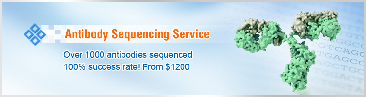 Monoclonal Antibody Sequencing Service