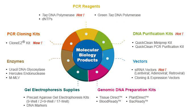 molecular biology products selection guide