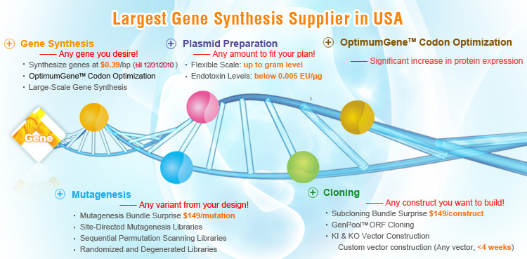 molecular biology services