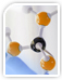 Endotoxin Detection & Removal System Endotoxin Detection & Removal System