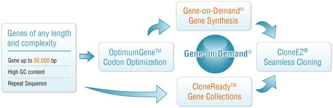 gene synthesis service, DNA synthesis service