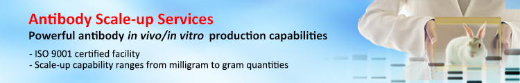 Monoclonal Antibody Production Service