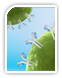 neurotrophins