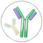 Guaranteed Antibody Package Guaranteed Antibody Package