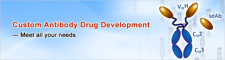 custom_Antibody_Drug_Development.jpg