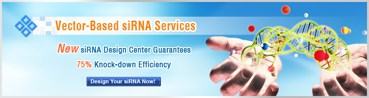 vector-based sirna technology