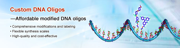 Custom DNA Oligos