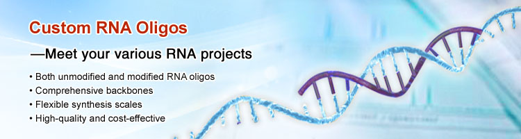 Custom RNA Oligos Custom RNA Oligos