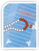 Peptide Array Service