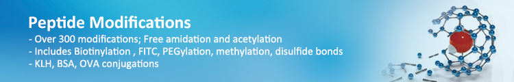 Peptide Modification Service Peptide Modification Service