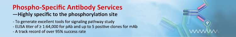 Phospho-Specific Antibody Services Phospho-Specific Antibody Services