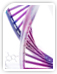 QuickClean Plasmid Purification Kit QuickClean Plasmid Purification Kit