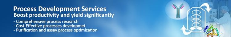 Process Development Services process development services
