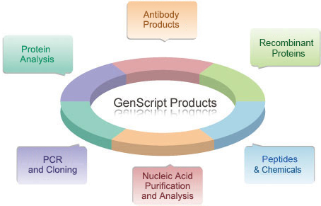 Bioreagents, Nucleic Acid, PCR Analysis, pcr and cloning kit, Protein Analysis, Antibodies, Peptides, Biochemicals, Cell Analysis