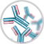 antibody sequencing service antibody sequencing service