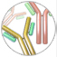 Epitope Tag Antibodies Epitope Tag Antibodies