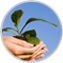Green Program