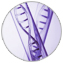 Mutagenesis Bundle Mutagenesis Bundle