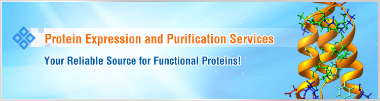 Protein Expression Services Protein Expression Services