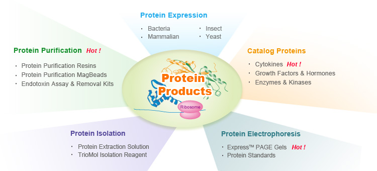 protein products selection guide