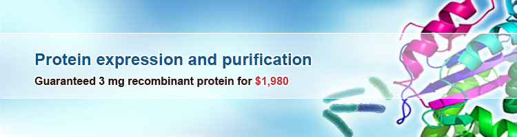 protein promotion