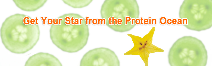 protein purification resin and magbeads