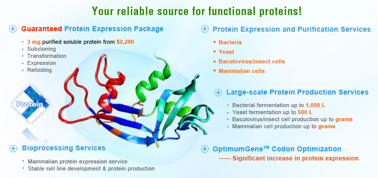 protein service