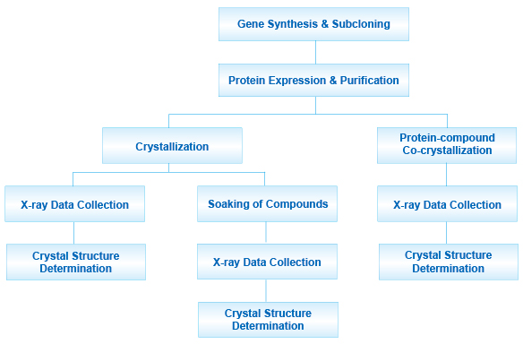 structural biology services