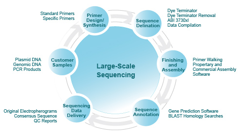 large scale dna sequencing pepline