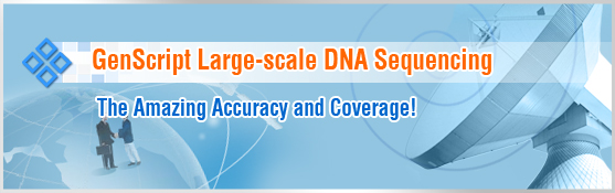 large scale dna sequencing