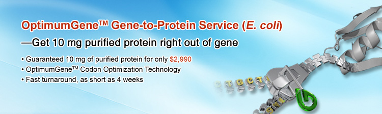 Bacterial Expression System