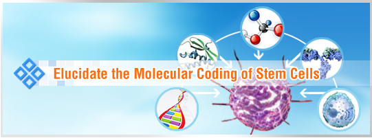 stem cell research products