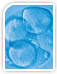 CD16 Antibody, mAb, Mouse CD16 Antibody, mAb, Mouse
