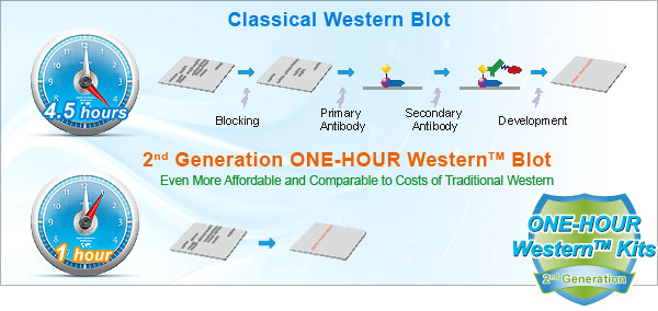 2nd generation western