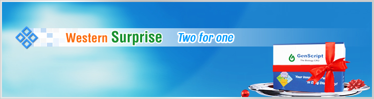 western promotion