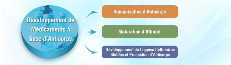 Centre de Développement des Médicaments à base d’Anticorps
