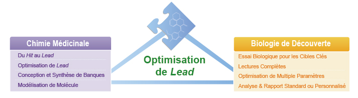 Service d'Optimisation des Leads