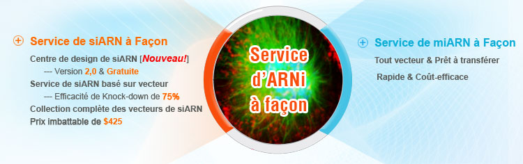 Custom siRNA & miRNA Services