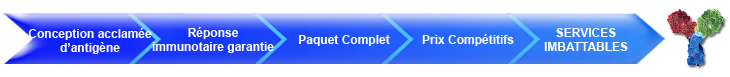 custom antibody service