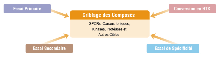 Services de Développement d’Essai 