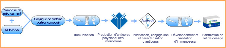 Immunoassay Development Service for Drug Compound Discovery