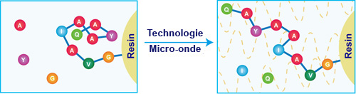 Technologie Micro-onde