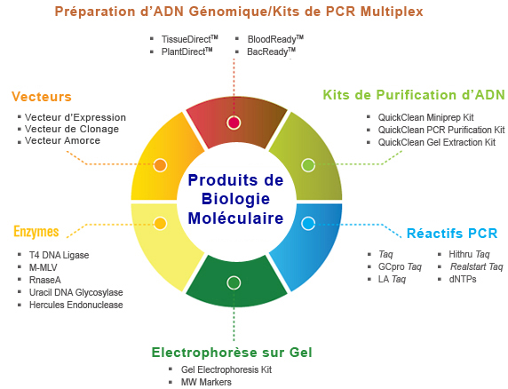  guide de sélection des produits de biologie moléculaire 