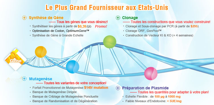 molecular biology services