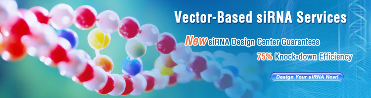 vector-based sirna technology